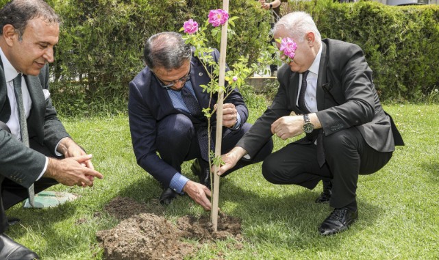 Valilik bahçesine ‘Van Gülü’ dikti