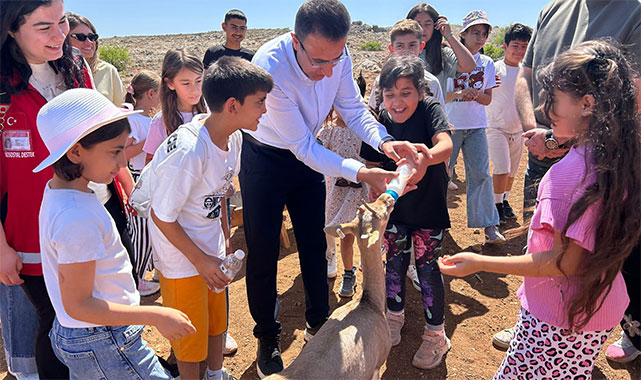 Öksüz ve yetim çocuklar dağ ceylanlarını ilk kez gördü;