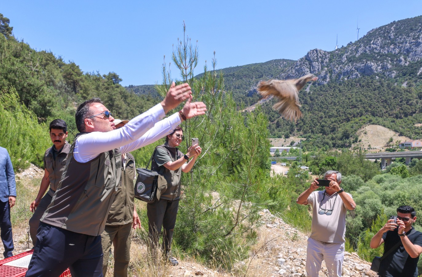 Bilecik'te kınalı keklikler doğaya salındı;