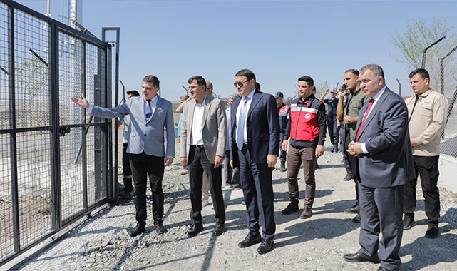 Kütahya'da sokak hayvanlarına doğal yaşam alanı: ''Biz onları bir yere kapatmıyoruz; onlara doğal bir yaşam alanı sunuyoruz'';
