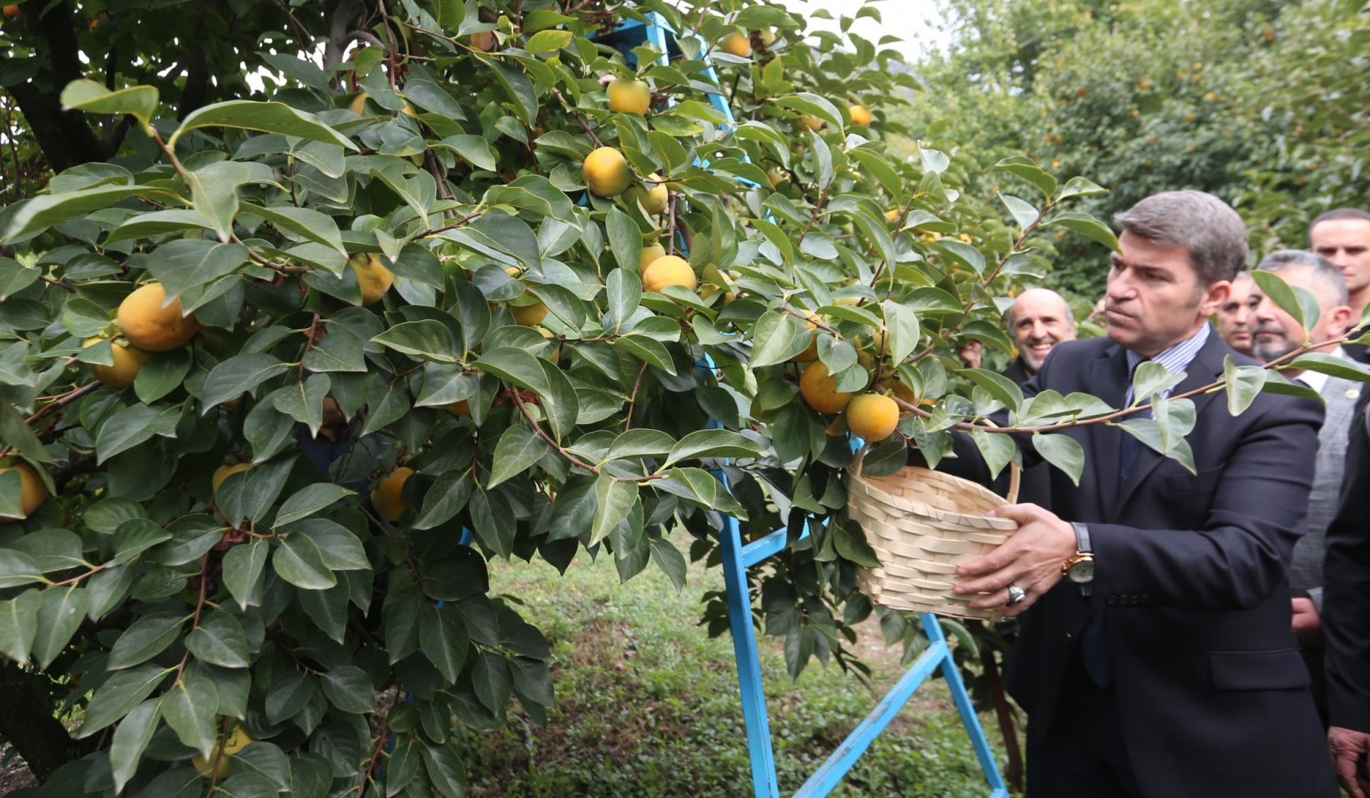 "Rekolte için kravatlar çıkacak tulumlar giyilecek";