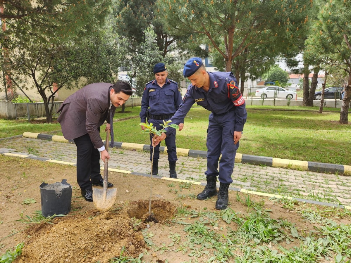 Mehmet Şirin Altay