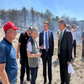 "Tüm kurumlar  orman yangınlarına karşı teyakkuzda"