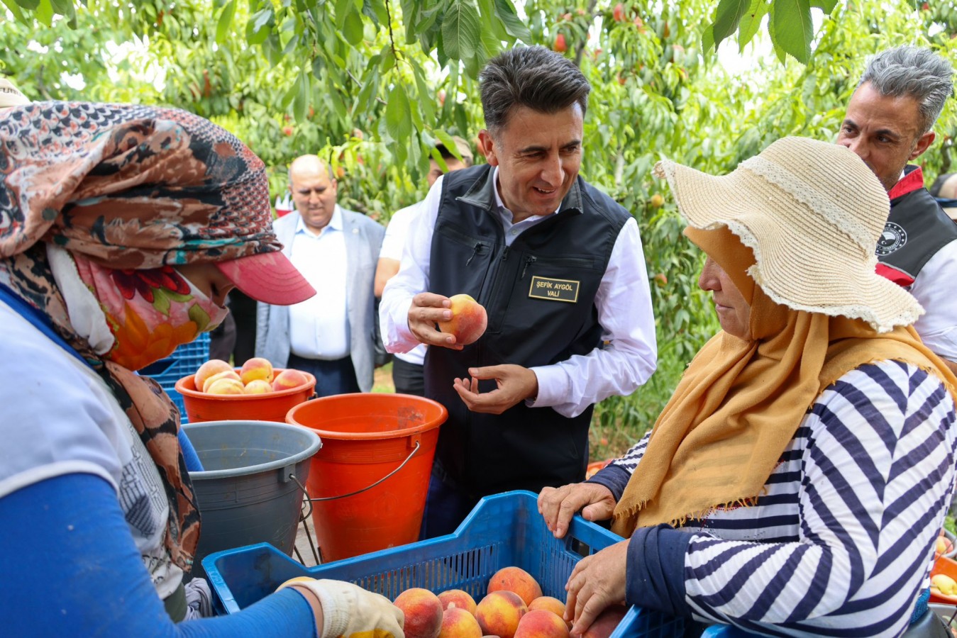 Şeftalinin en güzeli Bilecik'te;