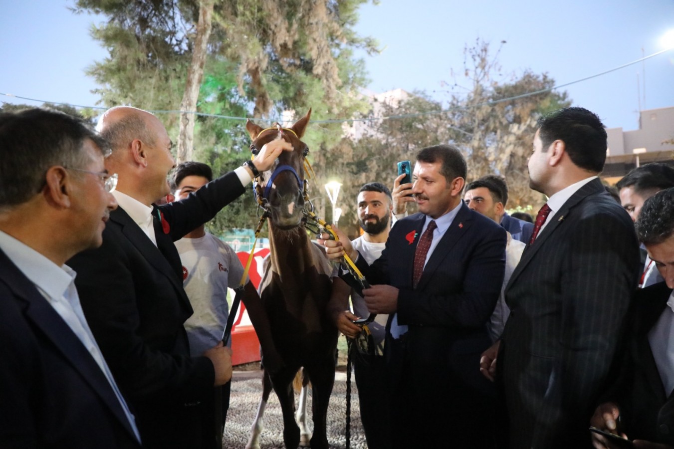 Bakan Soylu’ya ‘Suruç’ isimli yarış atı hediye edildi;