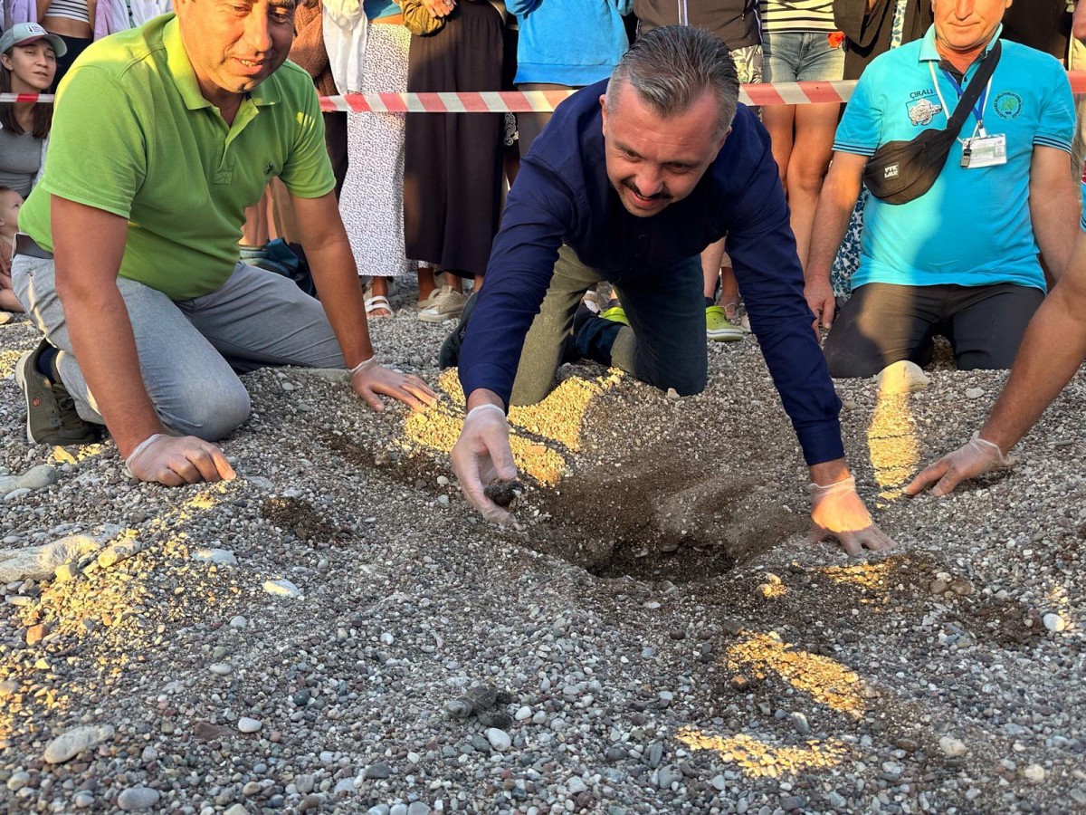 Son yuvayı açarak caretta sezonunu bitirdi;