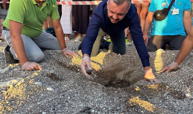 Son yuvayı açarak caretta sezonunu bitirdi