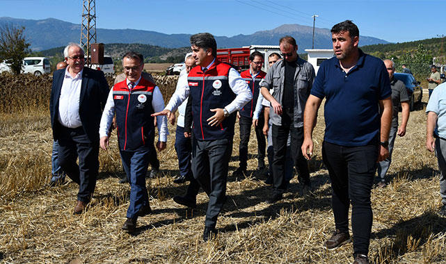 Vali Aydın, ayçiçeği hasat etti;