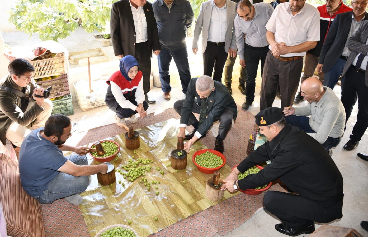 Vali Çiçekli, kış için zeytin kırdı;