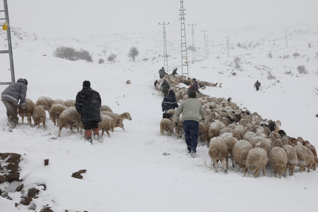 Yaylalarda mahsur kalan çobanlara ulaşıldı;