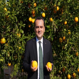 "Finike Portakalı, bizim için dünyanın en iyi portakalı"