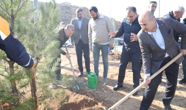 Hop Geçidi estetik bir görünüm kazanıyor