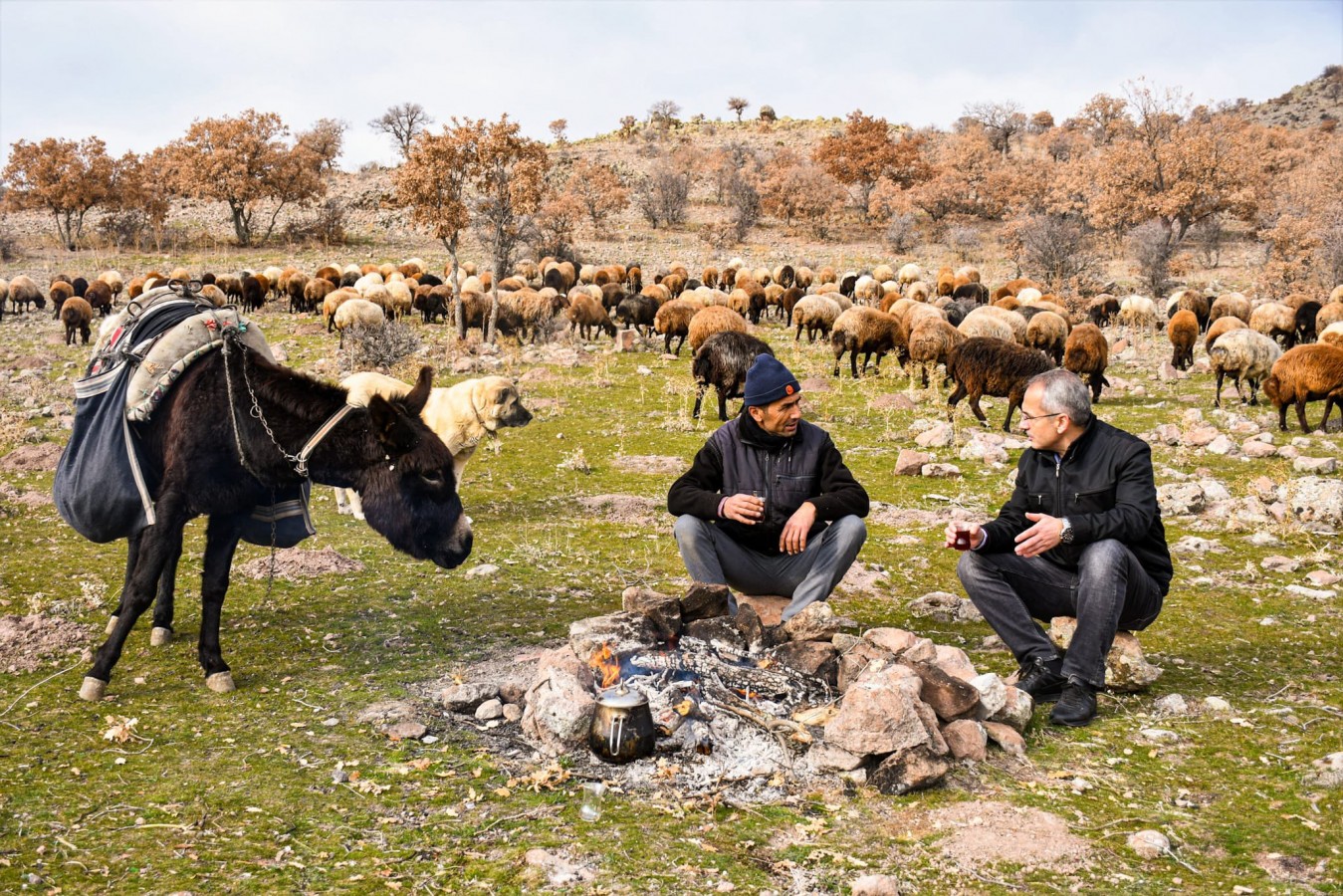 Yaylada çoban ateşinde çay keyfi