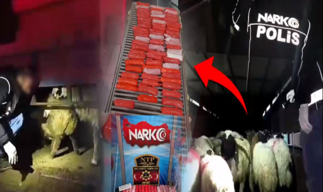 Bakan Yerlikaya açıkladı!