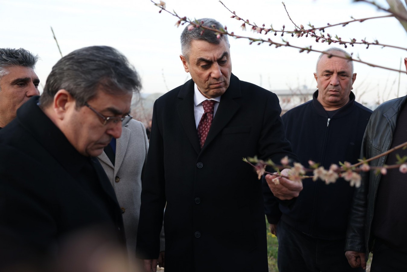 Mersin'de soğuk hava tarlaları vurdu, Vali sahaya indi;