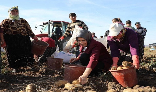 Depremin yaraları tarım sektöründe de sarılıyor