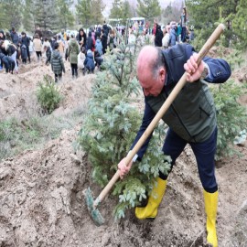 "Ormanlarımız, ülkemizin en büyük ziynetidir"
