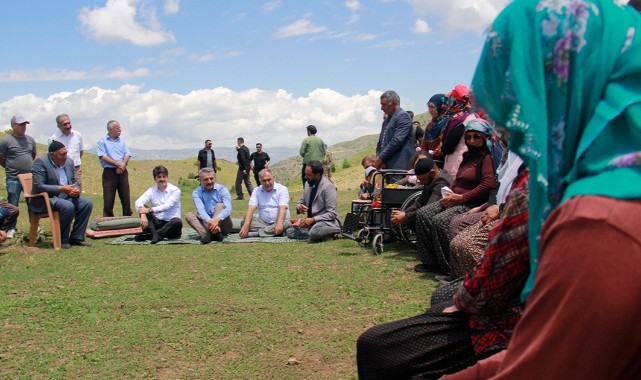 Yıllardır yasaklı Tunceli yaylaları hayvanla doldu