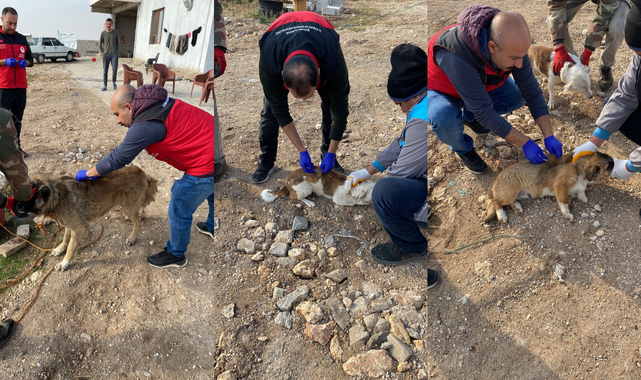 Hilvan Kaymakamlığı’ndan kuduz önlemi