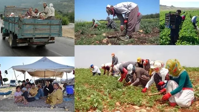 Valilikler mevsimlik tarım işçilerinin çalışma koşullarını iyileştirecek;