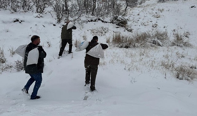 Siirt Valiliği yaban hayvanlarını unutmadı: 350 kilogram besi yemi doğaya bırakıldı