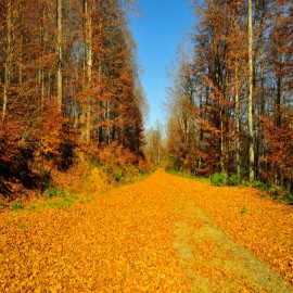 "Kırklareli, Türkiye’nin nadide şehirlerinden biri"