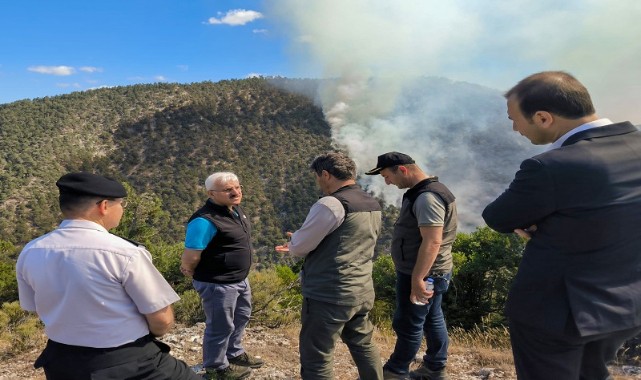 Yıldırım düşmesi sonucu orman yangını çıktı