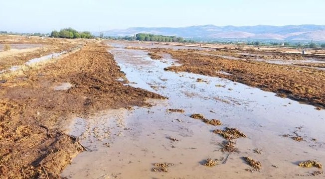 Manisa'da tarım arazileri sular altında kaldı;