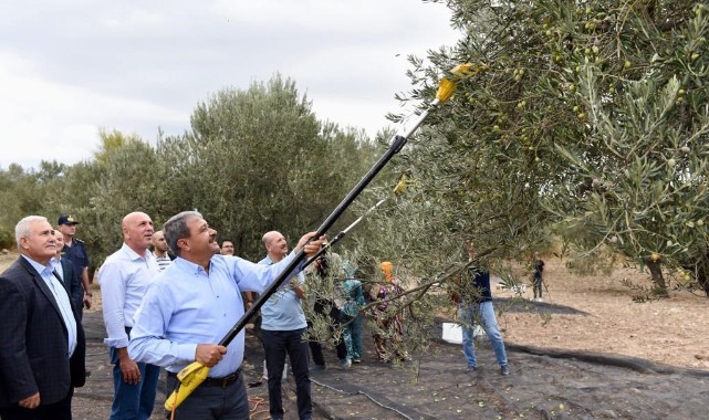 Zeytinde yılın ilk hasadına katıldı