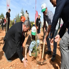 100. yıl fidanları toprakla buluştu