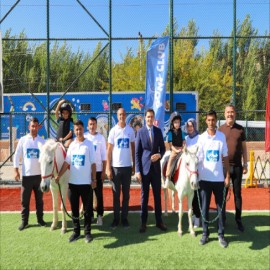 Savurlu minikler ilk kez atlarla buluştu