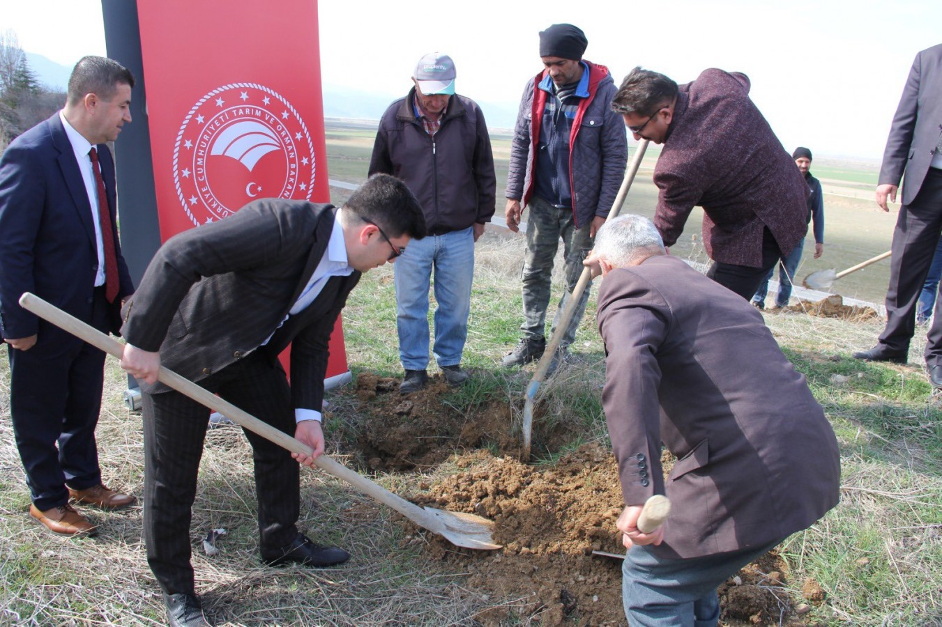 İlçenin girişine dut ağacı ekti