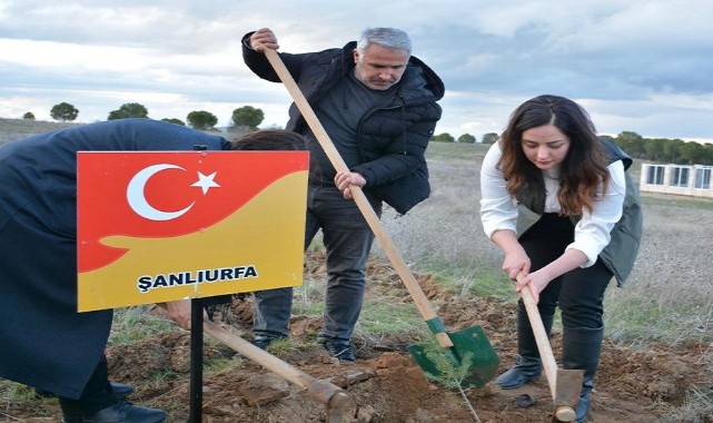 Deprem Şehitleri Ormanı için fidan dikti