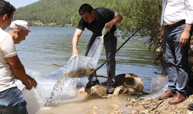 Burdur’da su kaynaklarına 613 bin yavru balık bırakılacak