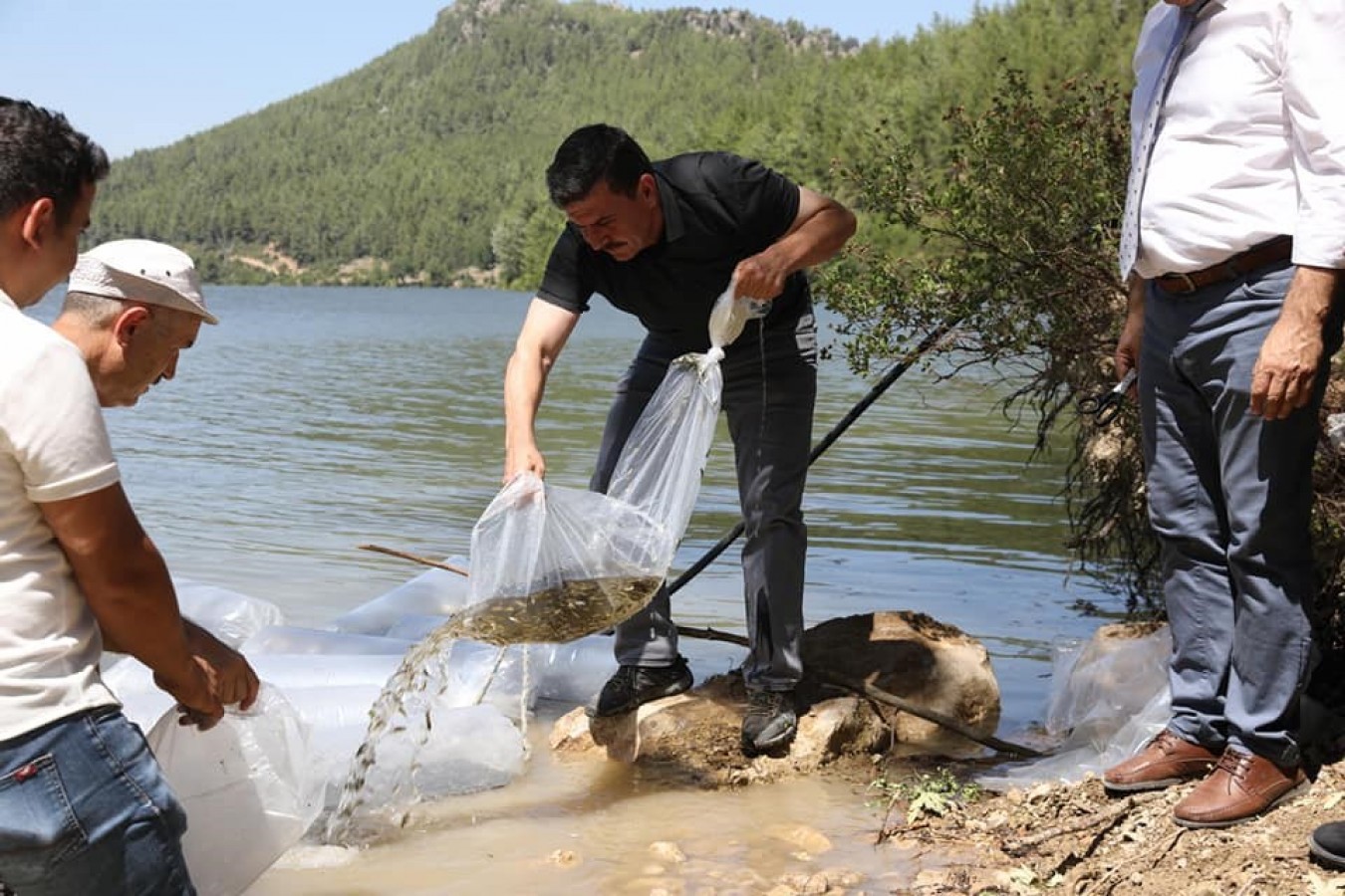 Burdur’da su kaynaklarına 613 bin yavru balık bırakılacak;