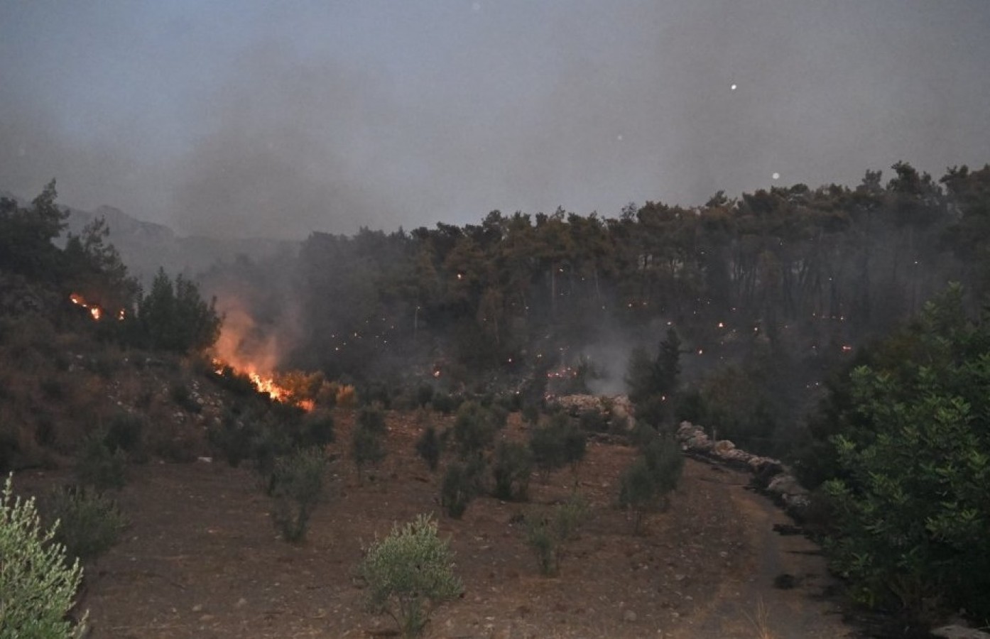 Antalya'daki orman yangını kısmen kontrol altına alındı;