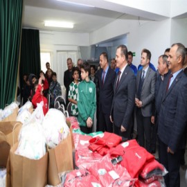 Desteğin rengi yeşil beyaz