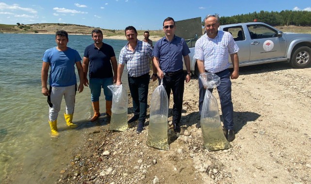 Türkiye’nin balığı İpsala’da üretiliyor