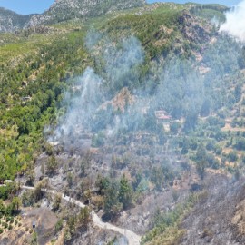 Alanya Sapadere’deki yangına 14 hava aracıyla müdahale ediliyor