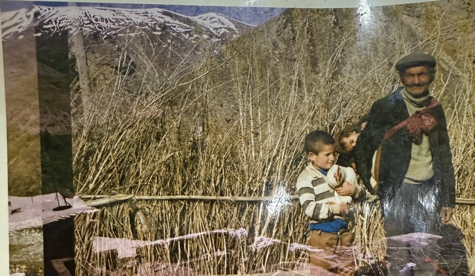 Kaymakamın paylaştığı fotoğrafın hikayesi boğazları düğümledi;