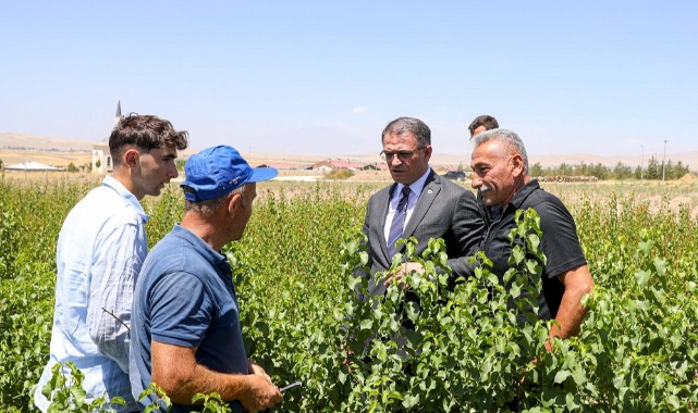 “Van'ı meyve ağaçları ile süsleyeceğiz”