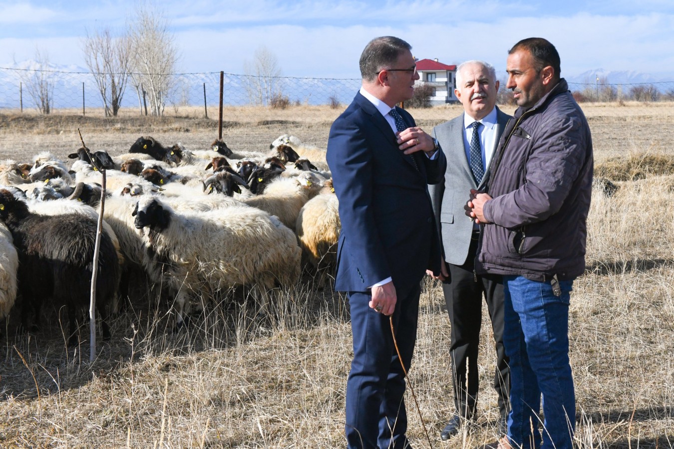 Van'da küçükbaş hayvancılıkta hamle yapıldı;